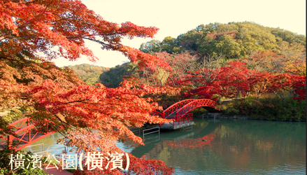 6天5晚横濱．境港郵輪船票